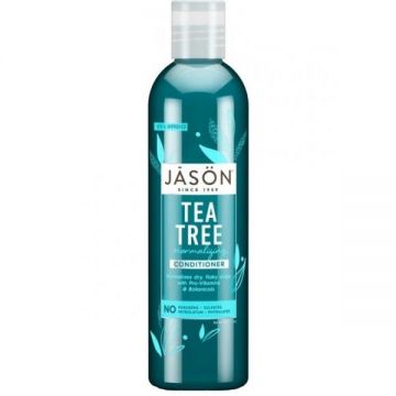 Balsam de Par Tratament cu Tea Tree Jason, 227g