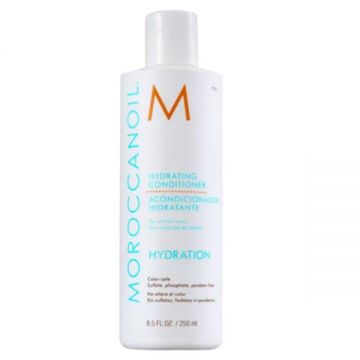 Balsam Intens Hidratant - Moroccanoil Hydrating Conditioner, 250 ml