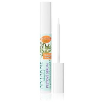 Bione Cosmetics Antakne tratament topic pentru acnee