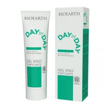Crema ten acneic si gras Day by Day Bioearth
