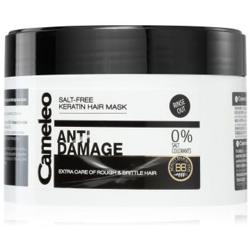 Delia Cosmetics Cameleo BB masca cu keratina pentru par deteriorat