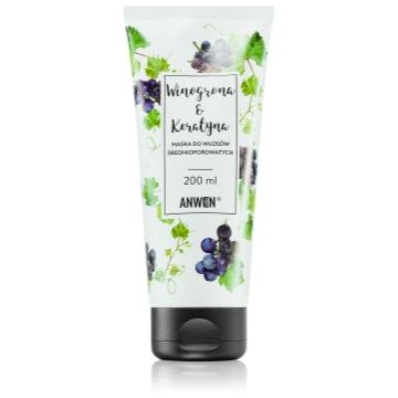 Anwen Grapes & Keratin masca pentru regenerare pentru păr