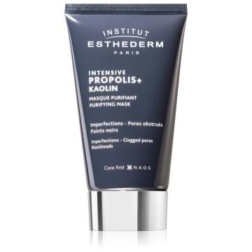 Institut Esthederm Intensive Propolis+ Purifying Mask masca pentru ten acneic
