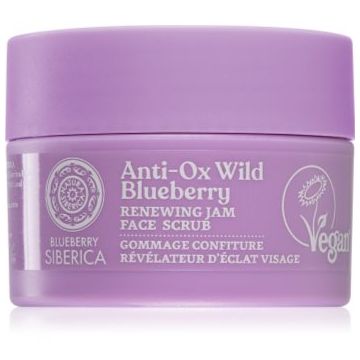 Natura Siberica Anti-Ox Wild Blueberry exfoliere de reinnoire faciale