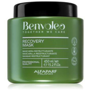 Alfaparf Milano Benvoleo Recovery Masca regeneratoare pentru par deteriorat