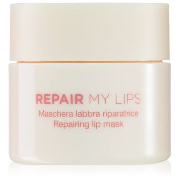 Diego dalla Palma REPAIR MY LIPS mască hidratantă pentru buze
