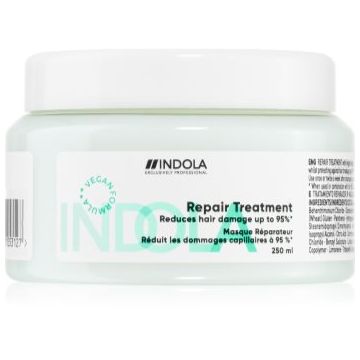Indola Repair Treatment ingrijire nutritiva pentru par deteriorat