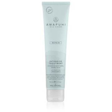 Paul Mitchell Awapuhi Wild Ginger Repair Intevsive Treatment tratament intensiv pentru par pentru par deteriorat