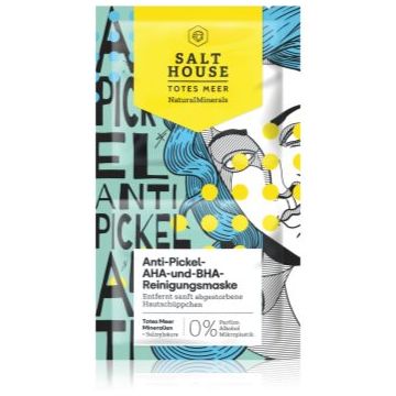 Salt House Natural Minerals Anti-pimple AHA and BHA Cleansing Mask masca
