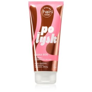OnlyBio Hair Of The Day Gloss S.O.S. Mask Masca de par pentru netezirea parului