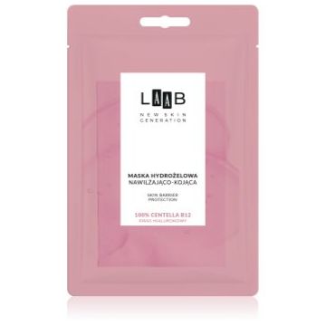 AA Cosmetics LAAB 100% Centella B12 mască hidrogel cu efect de hidratare