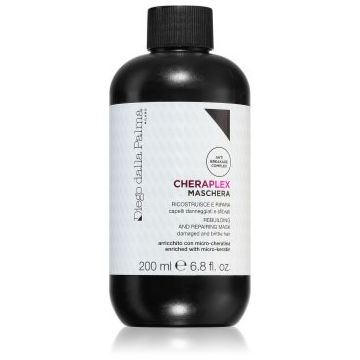 Diego dalla Palma Rebuilding And Repairing Mask Masca reparatorie pentru parul fragil foarte deteriorat