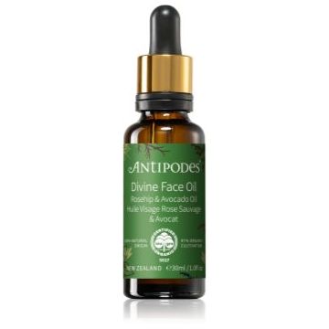 Antipodes Divine Face Oil Rosehip & Avocado Oil ser protector impotriva primelor semne de imbatranire ale pielii